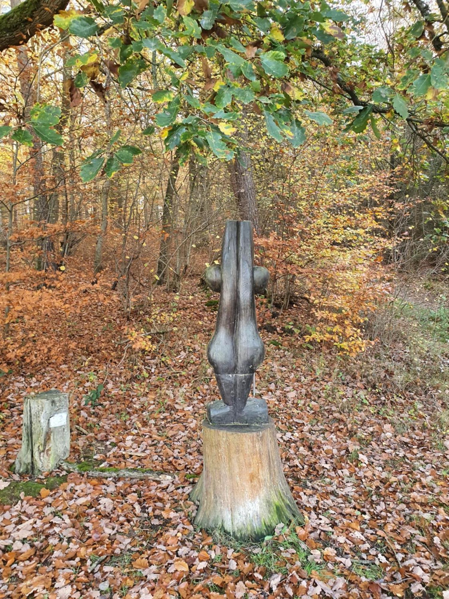 Landleben - Ferienhaus 2 Fritzlar Luaran gambar